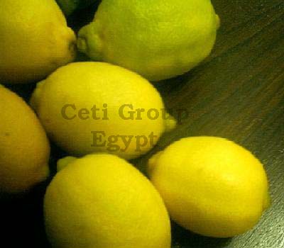lemon - lemon