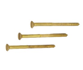 Brass Wood Screws - 10