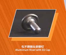 Aluminium Rivet With SS Cap - all size