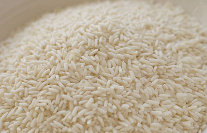 Vietnam Jasmine Rice and Vietnam Glutinous Rice - 2012