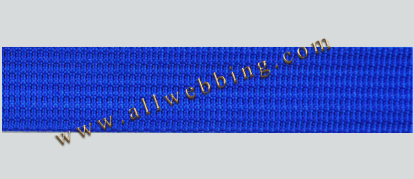 pp webbing - ALLWEBBING -10