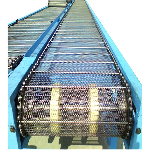 2013 Top 10 chain conveyor for delivery - Feida