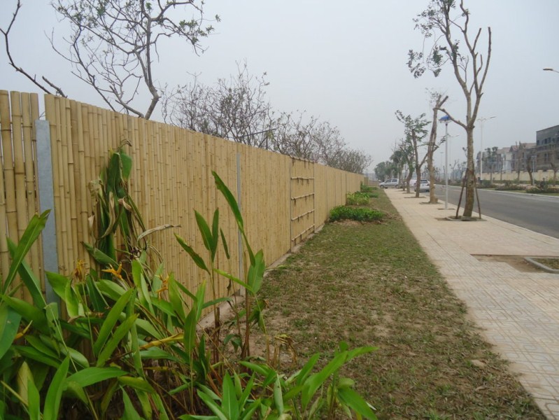 vietnam bamboo fences high quality - VTP