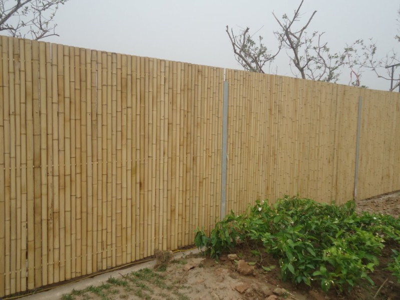 vietnam high quality bamboo fences - VTP