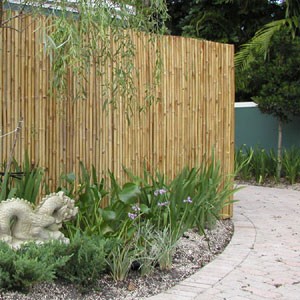 Bamboo fencing for garden - Bamboo fencing for garden