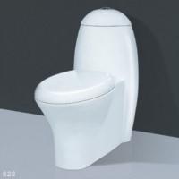 Large picture one piece toilet