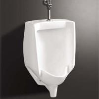 Large picture urinal