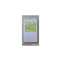 Large picture calendar,paper bag,gift box,sticky notes,catalogue