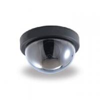 Large picture Dome CCD camera