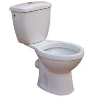 Large picture F2 two piece toilet
