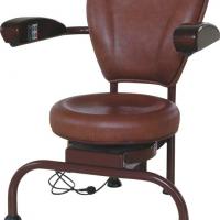 Large picture Electric Hula Chair
