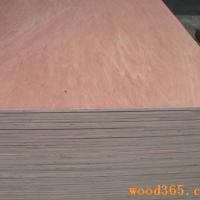 Large picture bintagor plywood
