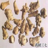 Large picture Notoginseng Root