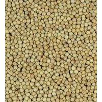 Large picture White pepper powder