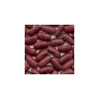 Large picture dark red kidney beans