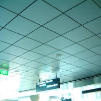 Large picture aluminum ceiling tile