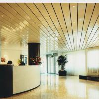 Large picture aluminum strip ceiling