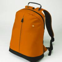 Large picture backpack