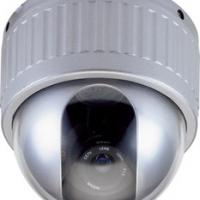 Large picture Color IR Dome Camera w/ 4" Pan/Tilt and 12 IR LEDs