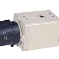 Large picture CCD camera