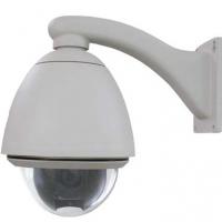 Large picture PTZ ip camera