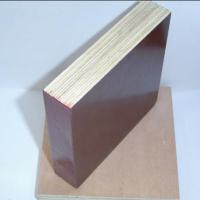 Large picture Plywood & Film faced Plywood