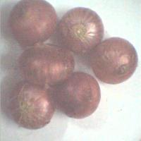 Large picture Red Onions