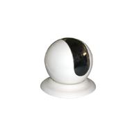 Large picture color CCD dome camera