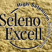 Large picture SelenoExcell® High Selenium Supplement