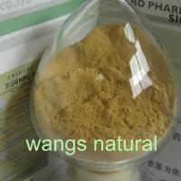 Large picture plant extract,herb extract