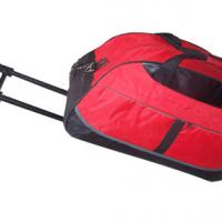 Large picture travel bag