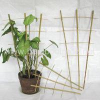 Large picture Bamboo trellis