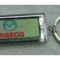 Large picture power solar keychain