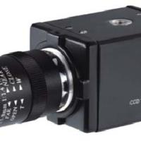 Large picture ccd camera