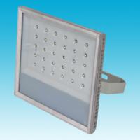 Large picture LED Food Light