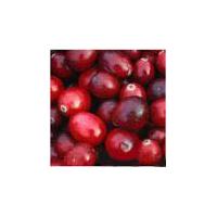 Large picture Cranberry Powder