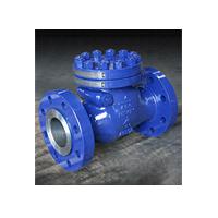 Large picture Full Opening Check Valve