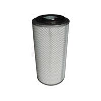 Large picture 2448 air filter core