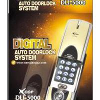 Large picture digital door locks