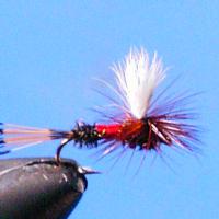 Large picture Wholesale fishing flies supply