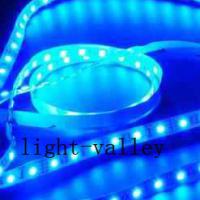 Large picture Blue LED Strip Light