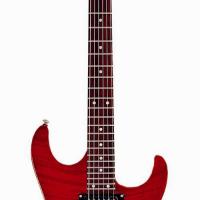 electric guitar LS-33 FP-DL