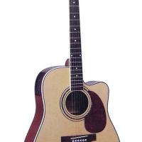 Large picture acoustic guitar LDG-17M-CE