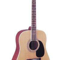 Large picture acoustic guitar LDG-17 W