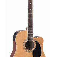 Large picture acoustic guitar LDG-17 W- CE