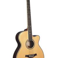 acoustic guitar LMJG-17 R-C