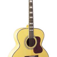 Large picture acoustic guitar LJG-27 FM