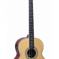 Large picture acoustic guitar LJB-17 M-E
