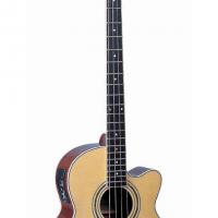 Large picture acoustic guitar LJB-17 M-CE