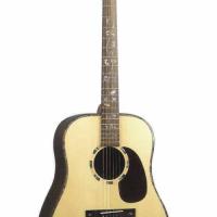 Large picture acoustic guitar LDG-37 R